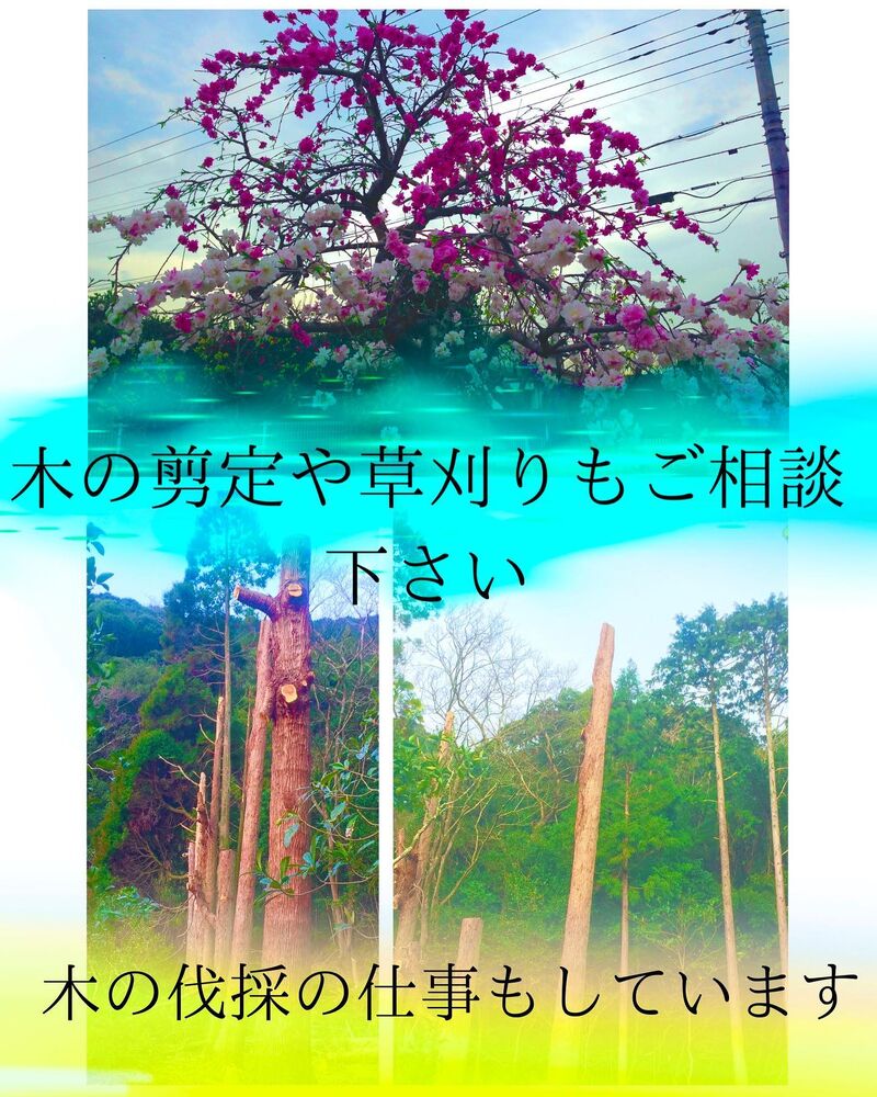 ブログ画像