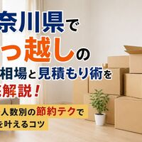 画像54054