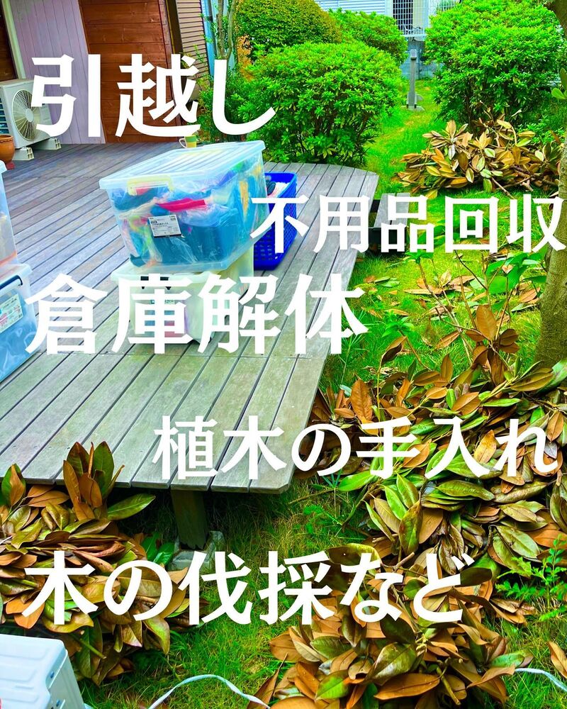 ブログ画像